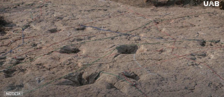 Estudio científico confirma que Bolivia alberga el mayor yacimiento de huellas de dinosaurios